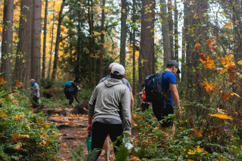 Apa itu Terapi Hutan?, Sejarah Terapi Hutan, Manfaat Terapi Hutan, Dimana tempat terapi hutan di Jepang?, Mengenal Shinrin-yoku, Terapi Berjalan di Hutan yang Populer di Jepang