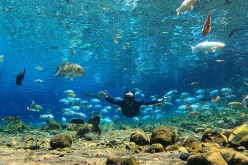 Wisatawan Tenggalam di Umbul Ponggok Klaten saat Tunggu Foto Bawah Air