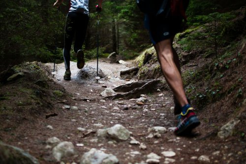 Ajang Lari Trail Siksorogo Lawu Ultra Telan 2 Korban Jiwa, Apa Penyebabnya?
