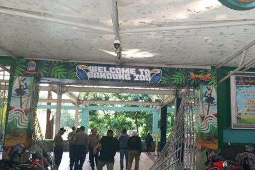 Kisruh Bandung Zoo: Belasan Bayi Satwa Tak Diberi Makan, Gerbang Dikunci, Pegawai Diusir