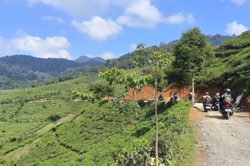 1. Pemandangan indah, 2. Terdapat desa wisata, 3. Wisata alam Curug, 4. Budaya dan tradisi ekowisata yang menyenangkan, Pesona Desa Wisata Malasari Bogor, Kampung Unik Bernuansa Jepang