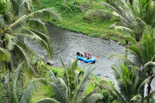Hanya 3 Persen DAS Ayung yang Masih Tertutupi Pohon, Banjir Ancam Bali