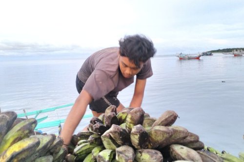 4 Bulan Krisis Transportasi Laut, Pulau Enggano Terisolasi, Warga Sakit Berdesakan Cari Tiket Pesawat
