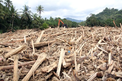 Analisis Ahli IPB: Gelondongan Kayu di Banjir Sumatera Diduga Kuat Akibat Pembalakan Liar