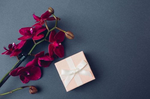 hadiah ulang tahun, Berlian, berlian, MONDIAL, I Said MONDIAL, Mondial, I Said Mondial, ide hadiah berlian, Bukan Sekadar Kado, Rayakan Ulang Tahun dengan Hadiah Personal, Simbolik, dan Elegan