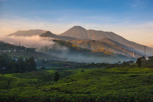 Pendaki Ilegal Gunung Gede Pangrango akan di-Blacklist dan Denda 5 Kali Lipat