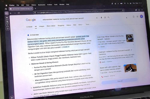 Google AI Overview Kini Tampilkan Opini dan Review dari Manusia Nyata