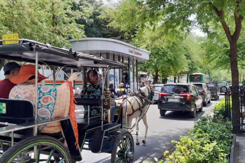 Malioboro Bau Pesing, Kuda Andong Akan Diberi "Popok"