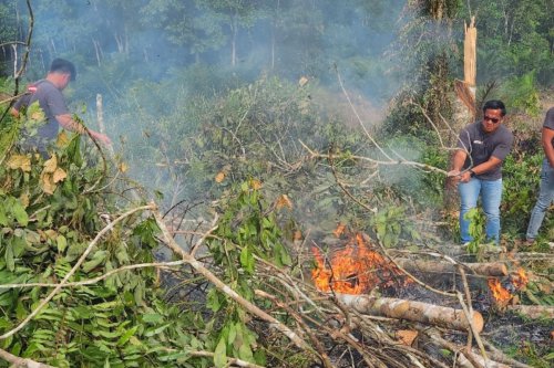 Karhutla Terjang Riau, Berikut Update Kasus dan Tersangkanya pada 2025