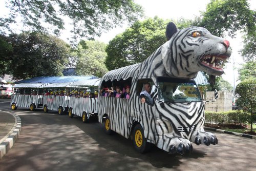 Jam Operasional dan Harga Tiket Ragunan Selama Libur Natal 2025, Buka Lebih Awal