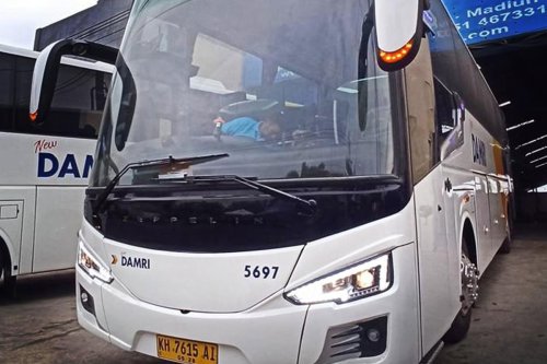 Desain Elegan Bus GX Cruise Single Glass PO DAMRI