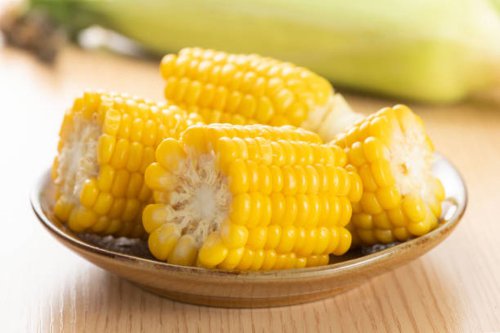 Top 11+ Sumber Makanan Pengganti Nasi, Lebih Sehat dan Mudah Dimasak