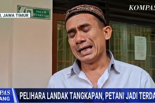 Kronologi Petani Madiun Diadili karena Merawat Landak Jawa, Menangis Minta Keadilan