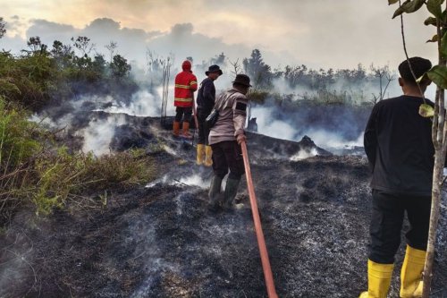Karhutla Meluas, Pemkab Natuna Tetapkan Tanggap Darurat Selama 7 Hari