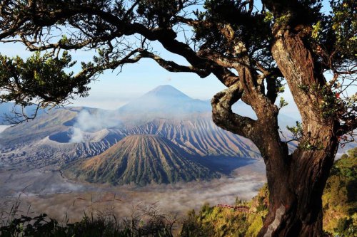 Liburan ke Bromo? Ini 6 Aktivitas yang Wajib Dicoba