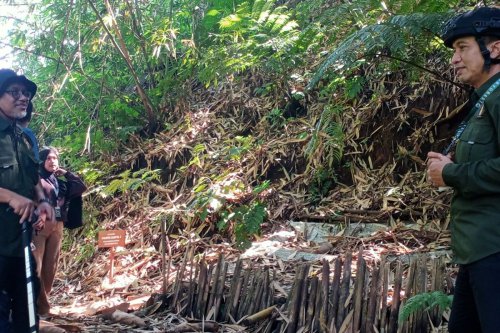 Jelajah Hutan UB Forest Malang, Wisata di Lereng Gunung Arjuno