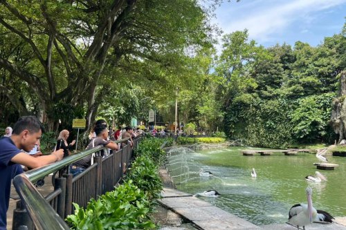 Ragunan Kini Buka Sampai Jam 10 Malam: Siang Lihat Satwa, Malam untuk Olahraga