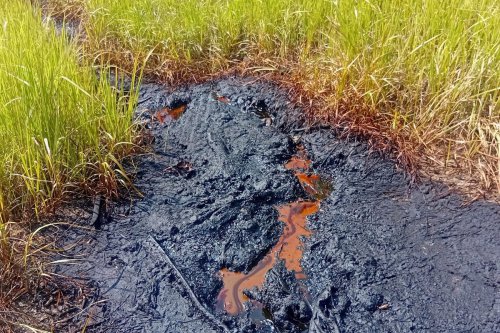 Cairan Hitam di Nganjuk Diduga Sumber Minyak Tua dari Zaman Belanda