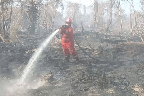 Suka Duka Masitoh, Ibu Lima Anak yang 19 Tahun Hadapi Karhutla di Riau