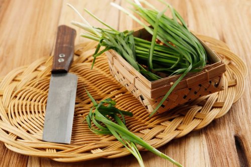 4 Manfaat Makan Daun Kucai, Bikin Tulang Kuat