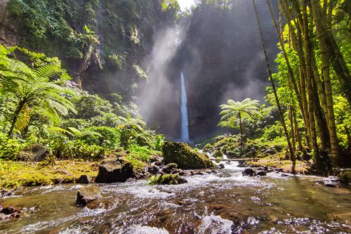 Panduan Lengkap Wisata Air Terjun Kapas Biru Lumajang, Rute, Tiket, dan Tips