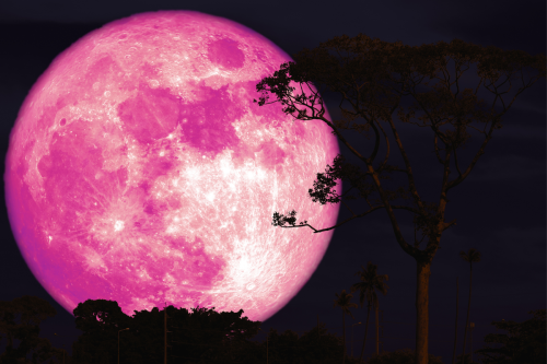 Buck Moon Juli 2025: Bulan Purnama Istimewa yang Sayang Dilewatkan