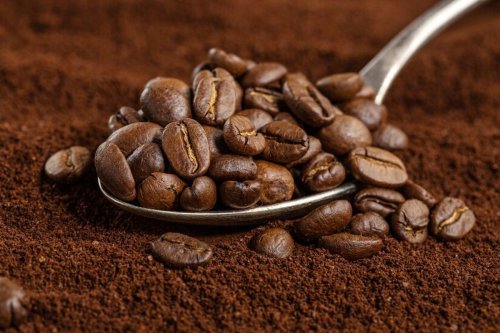 Cerita di Balik Kopi Asal Pegunungan Arfak Papua, Akhirnya Raih Juara