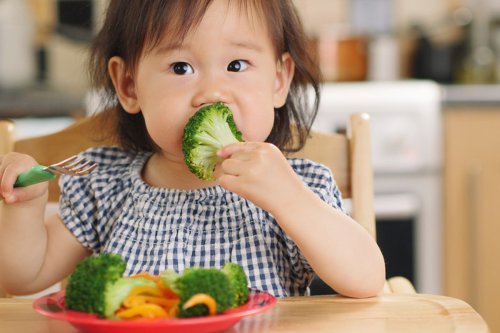 Pentingnya Pola Makan Sehat untuk Anak, Tingkatkan Imun Tubuh
