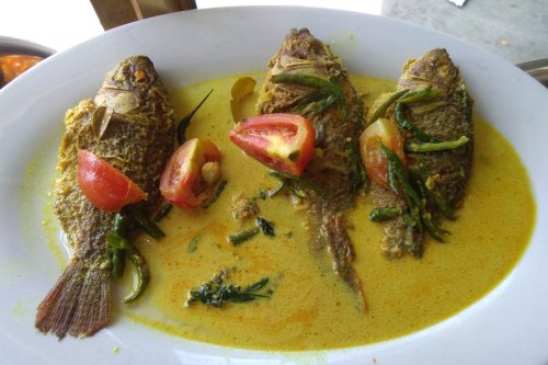 Gulai Taboh, Hidangan Santan dan Ikan yang Bertapa Semalam di Dapur Tradisional Lampung