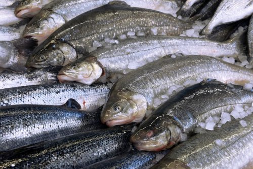 Top 5+ Makanan Kaya Kalsium, Cocok untuk Anda yang Tidak Doyan Susu
