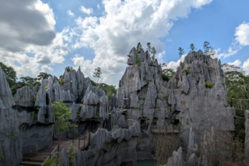 Wisata Baru Singapura, Zona Afrika di Mandai Resmi Dibuka