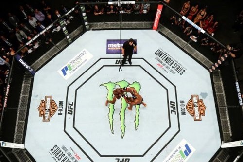 Lompat ke Dalam Arena, Mantan Juara UFC Ini Kena Skors 6 Bulan dan Denda Rp 81 Juta