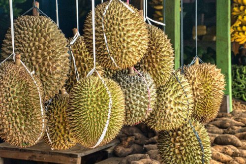 Durian Rp 27.000 Diserbu Warga Singapura, Ludes 600 Buah Dalam Sejam