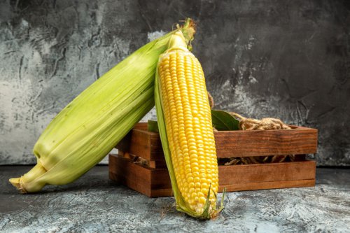 Cara Memilih Jagung Manis Kualitas Terbaik, Cocok untuk Semua Olahan