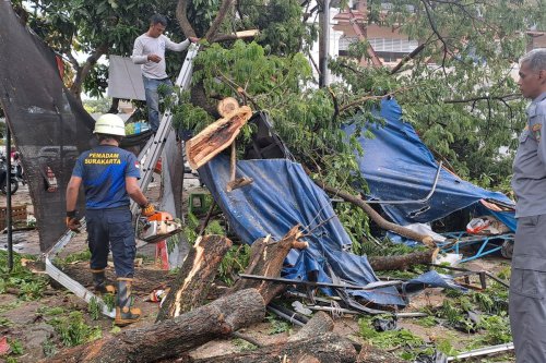 Hujan Lebat Disertai Petir dan Angin Kencang Terjang Solo, Pohon Tumbang dan Warung Hancur