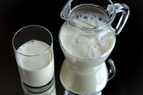 Top 6+ Makanan Mengandung Kalsium Lebih Tinggi Bisa Jadi Pengganti Susu