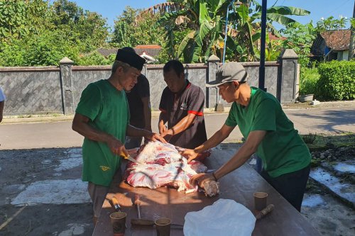 Kapan Waktu Dimulainya Penyembelihan Kurban?, Sampai Kapan Penyembelihan Hewan Kurban Diperbolehkan?, Kapan Waktu Terbaik Menyembelih Kurban?, Apa Konsekuensinya Jika Menyembelih di Luar Waktu yang Ditentukan?, Kapan Waktu Sah Menyembelih Hewan Kurban? Ini Penjelasan Ulama