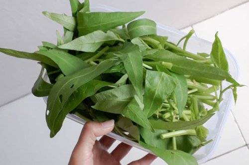 Sate Kangkung Viral di TikTok, Ini Resep dan Manfaat Kesehatannya