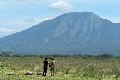 HTM wisatawan nusantara, HTM turis asing, Kendaraan roda 2, Kendaraan roda 4, Kendaraan roda 6, Harga Tiket Masuk TN Baluran Terkini, Hari Kerja dan Libur Beda