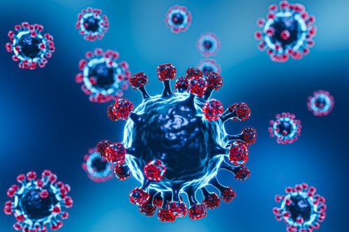Ngantuk Berlebihan Bisa Jadi Gejala Serius Virus Nipah, Ini Penjelasan Kemenkes