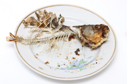 Duri Ikan Tertelan dan Tersangkut di Tenggorokan, Begini Mengatasinya