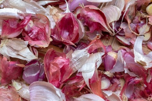 kulit bawang, Pupuk, Jangan Dibuang! Kulit Bawang Sisa Masakan Ternyata Punya Manfaat ini