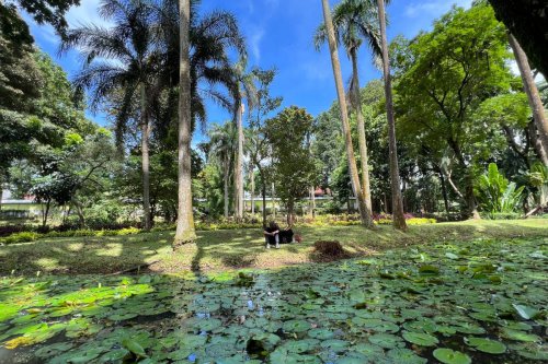 Top 5+ Taman di Jakarta Kini Buka 24 Jam, Simak Lokasi dan Fasilitasnya
