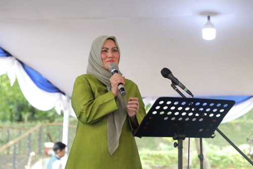 Profil Wagub Babel Hellyana yang Jadi Tersangka Kasus Ijazah Palsu