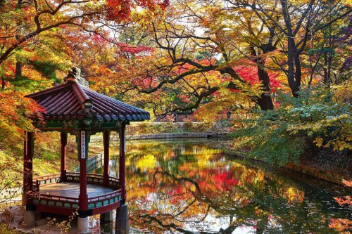 Top 5+ Wisata Korea yang Dikunjungi Aktor Park Bo Gum, Catat!
