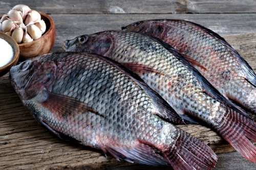 Cara Masak Ikan agar Tidak Amis, Ikuti Tips dari Chef Ini