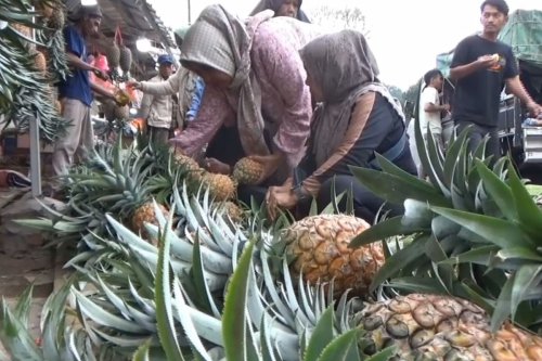 oleh-oleh, Karanganyar, timus, Nanas, Libur Lebaran 2026, Jajanan Timus hingga Nanas di Sejumlah Daerah Laris Diburu Pemudik