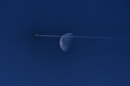 Japan Airlines Siapkan Layanan Jastip ke Bulan Mulai 2028