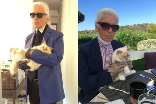Choupette, Chanel, 7 Tahun Berlalu, Kucing Karl Lagerfeld Belum Terima Warisan