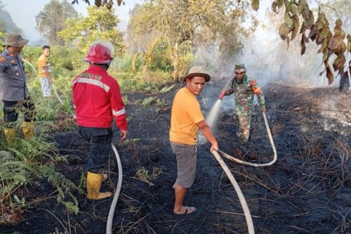 Usai Banjir, Riau Hadapi Ancaman Karhutla: 113 Hotspot Terpantau BMKG